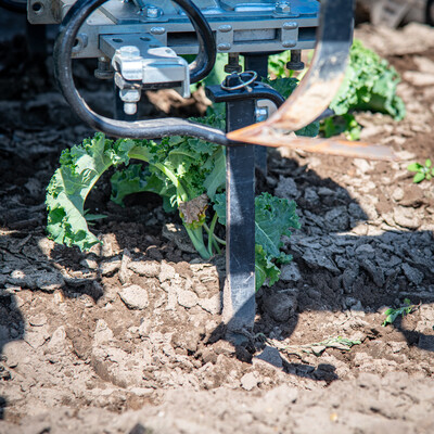 Vorstellung des autonomen Hackroboters Farming GT in einem Gr&uuml;nkohl-Bestand beim 5. Feldtag Gem&uuml;sebau am 13.08.2026 auf den Fl&auml;chen von Hof Krull in Burgdorf/Otze.