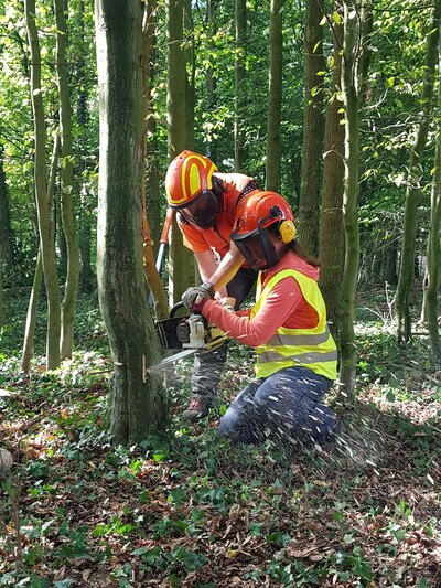 Fällheberschnitt unter Anleitung