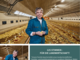 Heide Behrens - Landwirtin - © Henning Stauch / Fotograf bearbeitet von Sabrina Schultze-Clement / LWK Niedersachsen Heide Behrens - Landwirtin