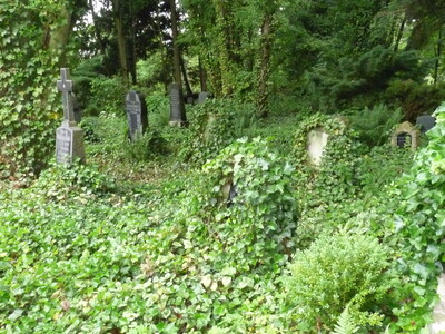 Der alte Friedhof in Thomasburg - © Sabine Dralle Der alte Friedhof in Thomasburg