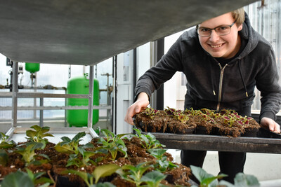 Ausbildung im Zierpflanzenbau