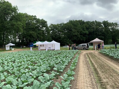 Ausstellungsfl&auml;che Feldtag RESIDUE
