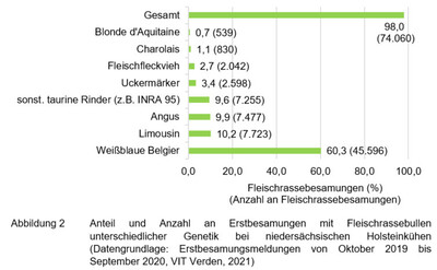 Anteile und Anzahl an Erstbesamungen mit Fleischrassebullen unterschiedlicher Genetik bei niedersächsischen Holsteinkühen - © Henrike Jansen Anteile und Anzahl an Erstbesamungen mit Fleischrassebullen unterschiedlicher Genetik bei niedersächsischen Holsteinkühen