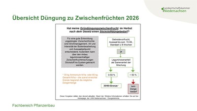 Ableitung Zwischenfruchtdüngung 2026 - © Annette Hoffmann Ableitung Zwischenfruchtdüngung 2026