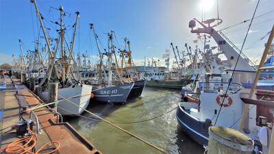 Niedersächsische Fischkutter haben 2023 deutlich weniger Nordseegarnelen (Krabben) und Fisch angelandet als im vorangegangenen Jahr. Politische und wirtschaftliche Rahmenbedingungen machen den gut 110 heimischen Betrieben zu schaffen.