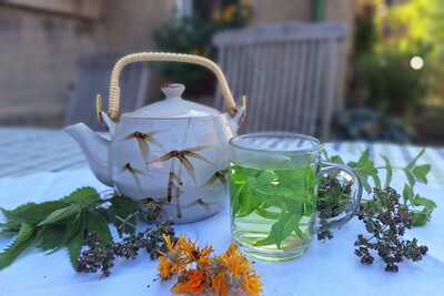 Kräutertee - © LWK Niedersachsen /media/media/297DD13D-DE14-3DB2-74C922823CB6435F.jpg