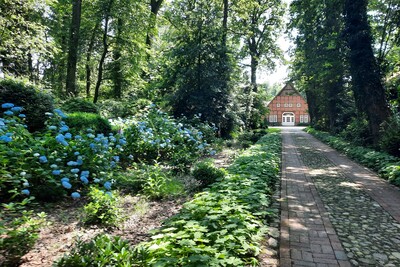 Pflegeleichte Hofzufahrt