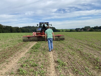 Beratung Ackerbohne - © Wiebke Schlich /media/media/312037CF-A327-9832-08E9B96BE7454A30.JPG