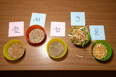 Berufswettbewerb 2025 BBS Lüchow - © Claas Steinhauer / Bauernverband Nordostniedersachsen e.V. Berufswettbewerb 2025 BBS Lüchow