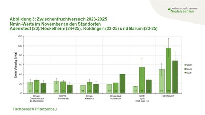 Abbildung 3: Nmin-Werte im November nach Zwischenfruchtbeständen mit unterschiedlichen Aussaatterminen - © Annette Hoffmann Abbildung 3: Nmin-Werte im November nach Zwischenfruchtbeständen mit unterschiedlichen Aussaatterminen