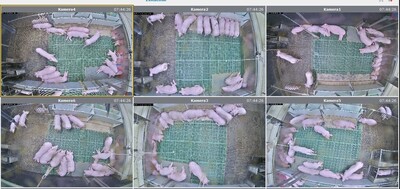 Bild 4 Kamerabilder Bucht 1-6 am 13.11.24, 7.44 Uhr, Tag 37 in FAZ - © Kai Gevers Bild 4 Kamerabilder Bucht 1-6 am 13.11.24, 7.44 Uhr, Tag 37 in FAZ