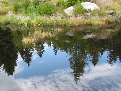 Flussufer - © Frank Haufe Flussufer