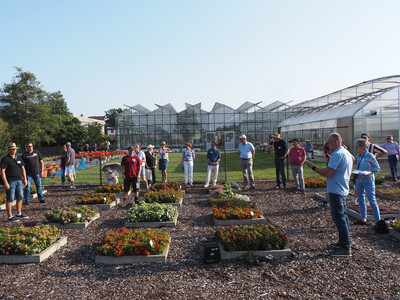 Teilnehmde des Ahlemer Friedhofsnachmittags auf der Versuchsfläche - © Ira Nordmeyer Teilnehmde des Ahlemer Friedhofsnachmittags auf der Versuchsfläche