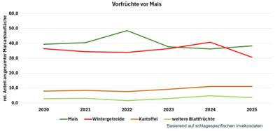 Vorfrüchte Mais - © Kai-Hendrik Howind Vorfrüchte Mais