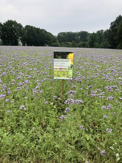 Öffentlichkkeitsarbeit