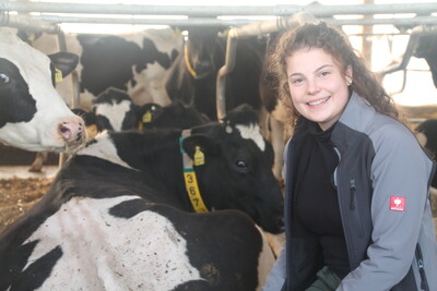 Bezirksmeldwettbewerb