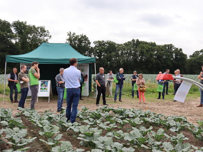 Spannende Vortr&auml;ge beim Feldtag 'Digitales N&auml;hrstoffmanagement im Gem&uuml;sebau' 2