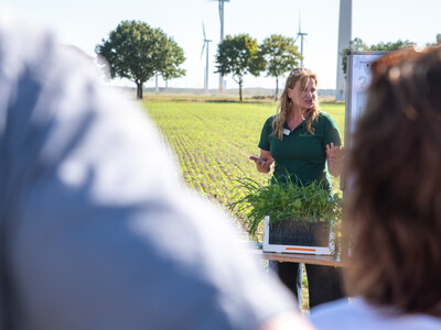 Andrea Knigge-Sievers präsentiert Ergebnisse aus dem Zwischenfruchtanbau in Schwüblingsen