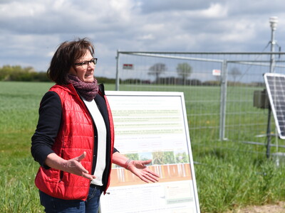 Dr. Dagmar Matuschek, bei der Landwirtschaftskammer Niedersachsen stellvertretende Leiterin des Fachbereichs Versuchswesen Pflanze, erläuterte den Anwesenden Aufbau und Umsetzung des Feldversuchs.
