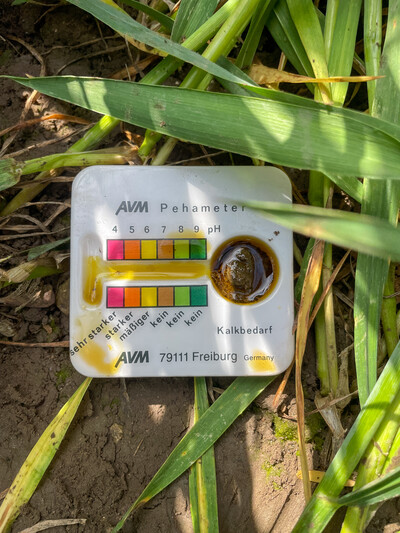 Das Hellige pH-Meter zeigt einen für Lehmboden optimalen pH-Wert um 6,5 an - © Dr. Frank Lorenz Das Hellige pH-Meter zeigt einen für Lehmboden optimalen pH-Wert um 6,5 an