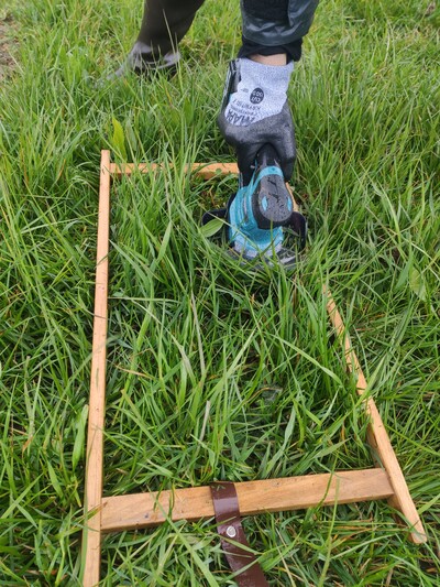 Probenentnahme_04_04_2022 - © Katharina Bittner Probenentnahme_04_04_2022