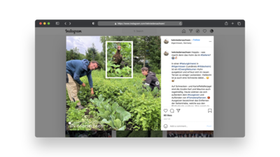 Nachwuchswerbung auf Instagram