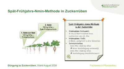 Spät-Frühjahrs-Nmin-Methode bei Zuckerrüben - © Caroline Benecke Spät-Frühjahrs-Nmin-Methode bei Zuckerrüben