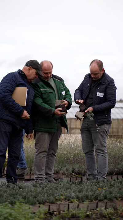 Besucher schauen sich torfreduziert produzierten Lavendel genauer an. - © Florin Laura Riechers Besucher schauen sich torfreduziert produzierten Lavendel genauer an