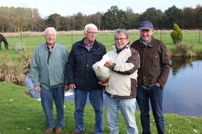 Züchter der Diepholzer Gans- Heinrich Bollhorst, Horst Johanning, Frank Dietze und Ulf Schütte (v.l.) - © Angelika Fortwengel - © Angelika Nannen Züchter der Diepholzer Gans- Heinrich Bollhorst, Horst Johanning, Frank Dietze und Ulf Schütte (v.l.)