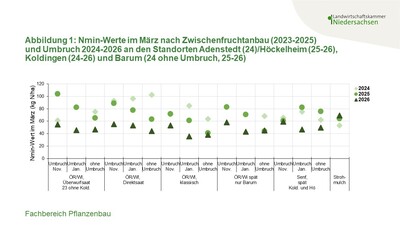 Abbildung 1: Nmin-Werte im März 2024-2026 nach Zwischenfruchtanbau mit verschiedenen Umbruchterminen - © Annette Hoffmann Abbildung 1: Nmin-Werte im März 2024-2026 nach Zwischenfruchtanbau mit verschiedenen Umbruchterminen