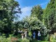 Blühender Garteneingang mit Ramblerrose - © Christiane Rehkamp Blühender Garteneingang mit Ramblerrose