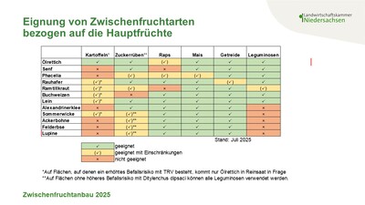 Eignung von Zwischenfruchtarten in Bezug auf die Hauptfr&uuml;chte