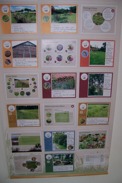 Plakat Fokus Naturtag