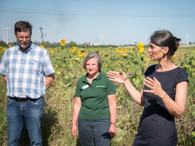 Landwirt Matthias Johns, LWK-Biodiversitätsberaterin Martina Diehl und Agrarministerin Miriam Staudte (v.l.) auf einer Fläche speziell für den Rebhuhnschutz bei Wolfenbüttel-Leinde. - © Wolfgang Ehrecke Landwirt Matthias Johns, LWK-Biodiversitätsberaterin Martina Diehl und Agrarministerin Miriam Staudte (v.l.) auf einer Fläche speziell für den Rebhuhnschutz bei Wolfenbüttel-Leinde.