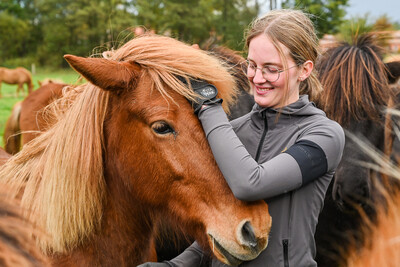 Pferdewirt*in, Arbeit mit Isl&auml;ndern