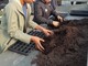 Zukunftstag 2025 im Gartenbau - © Christine Hahne Zukunftstag 2025 im Gartenbau