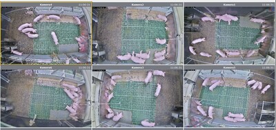 Bild 3 Kamerabilder Bucht 1-6 am 04.11.24, 11.06 Uhr, Tag 28 in FAZ - © Kai Gevers Bild 3 Kamerabilder Bucht 1-6 am 04.11.24, 11.06 Uhr, Tag 28 in FAZ