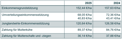 Einkommensst&uuml;tzungen 2025