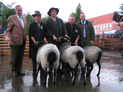 Minister Lindemann mit den Züchtern der Heidschnucken-Siegerböcke