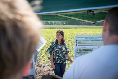 Hier werden den Besuchern des Feldtages Wasserschutz in Wehnen Versuche zum grundwasserorientierten Zwischenfruchtanbau erkl&auml;rt.