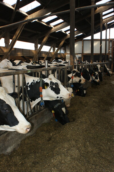 Verleihung des Staatsehrenpreises an den Betrieb Kleemann, Lütetsburg