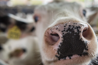 Dreharbeiten LBZ Echem 10.05.2017