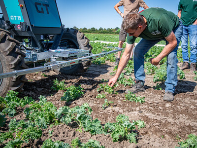 Vorstellung des autonomen Hackroboters Farming GT in einem Gr&uuml;nkohl-Bestand beim 5. Feldtag Gem&uuml;sebau am 13.08.2026 auf den Fl&auml;chen von Hof Krull in Burgdorf/Otze.