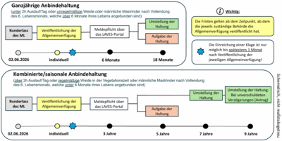 Erlass Anbindehaltung Fristen