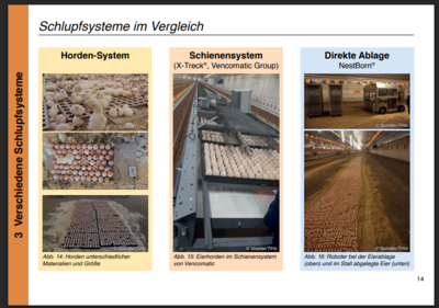 Schlupfsysteme im Vergleich - © Dr. Peter Hiller Schlupfsysteme im Vergleich