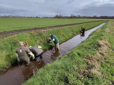 Deutsche und Niederländische Bisambekämpfer beim Aufspüren von Bauten und Stellen von Fallen. - © Nora Kretzschmar Bisamfangwoche Grafschaft