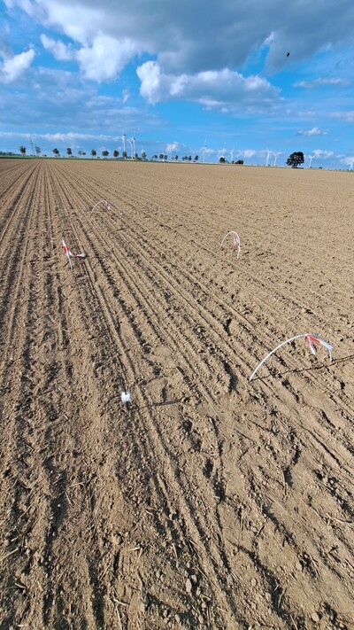 Anlegen des SpotSpray-Versuchs - © Anastasia Piel Anlegen des SpotSpray-Versuchs