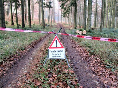 Betreten Verboten im Wald