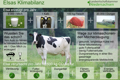 Elsas Klimabilanz