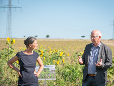 Agrarministerin Miriam Staudte (l.) und Kammerpräsident Gerhard Schwetje auf einer Fläche speziell für den Rebhuhnschutz nahe des Wolfenbütteler Ortsteils Leinde. - © Wolfgang Ehrecke Agrarministerin Miriam Staudte (l.) und Kammerpräsident Gerhard Schwetje auf einer Fläche speziell für den Rebhuhnschutz nahe des Wolfenbütteler Ortsteils Leinde.